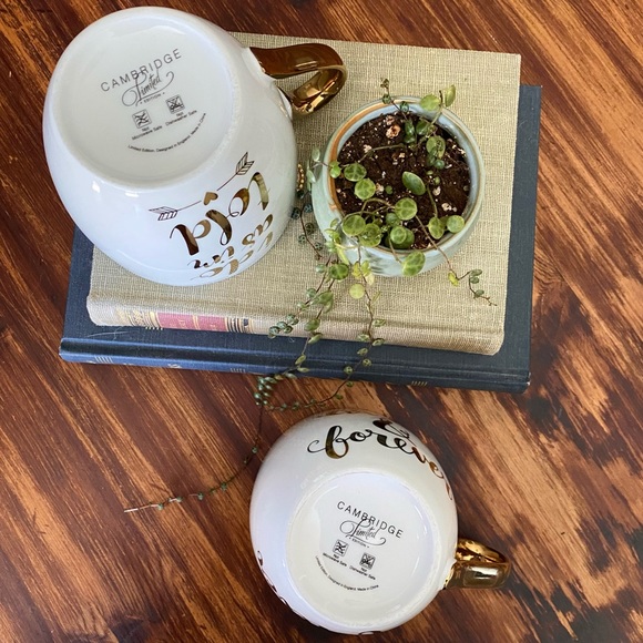 Cambridge Limited Edition Mugs With Gold Accents - Picture 4 of 5